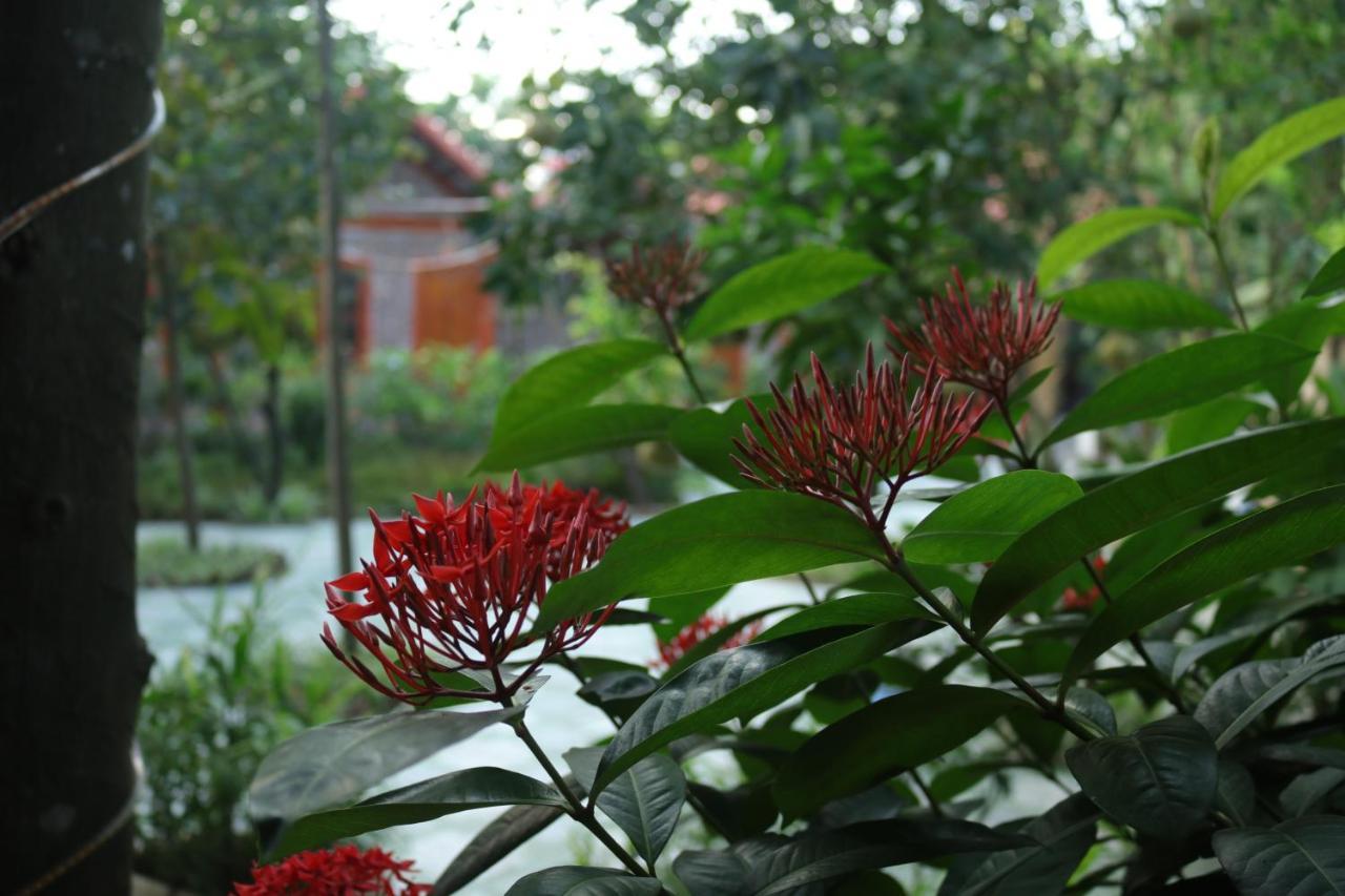 Tam Coc Thanh Dat Homestay นิญบิ่ญ ภายนอก รูปภาพ