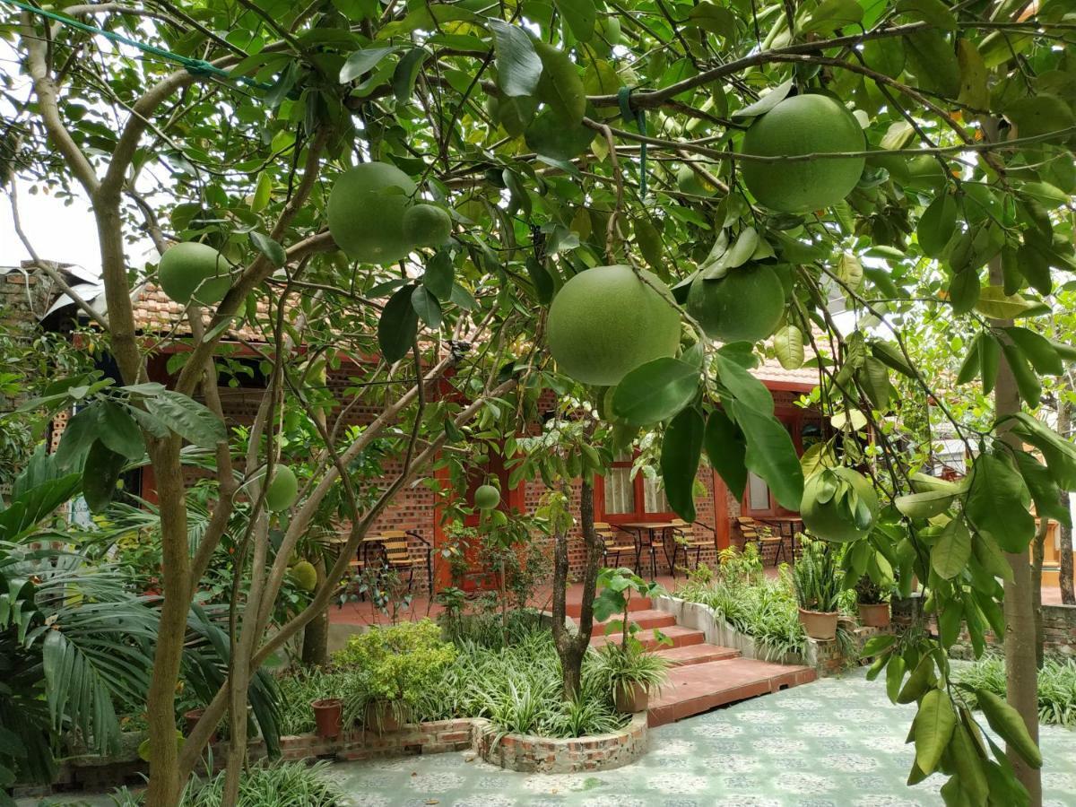 Tam Coc Thanh Dat Homestay นิญบิ่ญ ภายนอก รูปภาพ